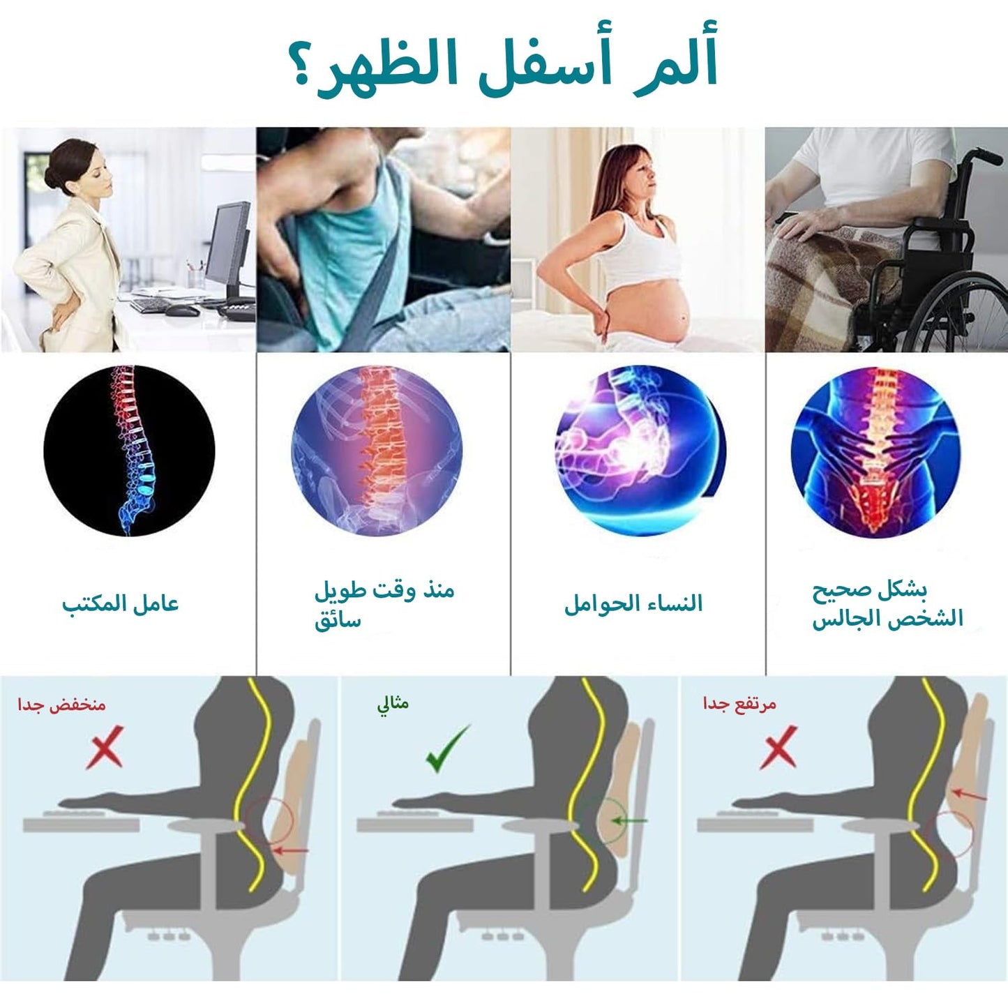 طقم دعم الظهر واسفنج الظهر